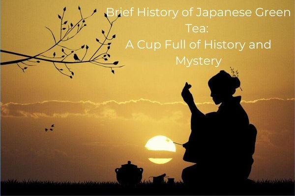 Brief History of Japanese Green Tea: A Cup Full of History and Mystery