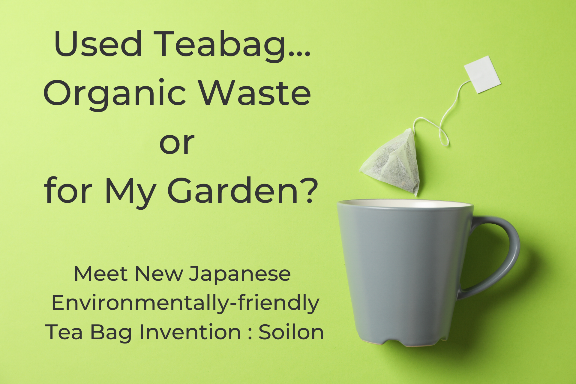 Used Teabag - Organic Waste or Perfect Compost For My Garden?