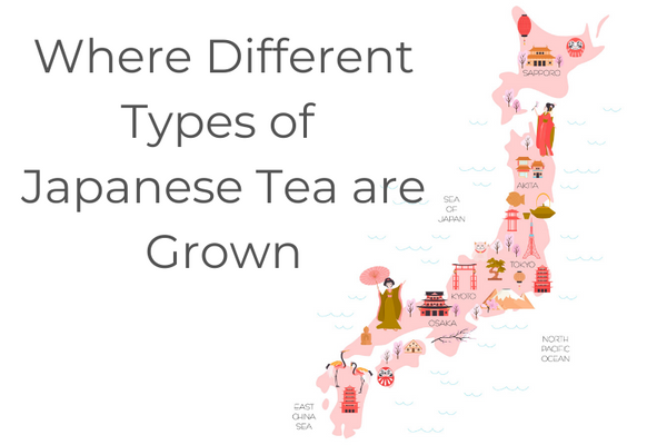 Where Different Types of Japanese Tea are Grown
