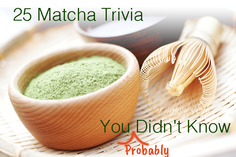 25 Matcha Trivia You (Probably) Didn't Know