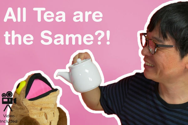 All Tea are the Same?! - ChaCha's GreenTea Room Video