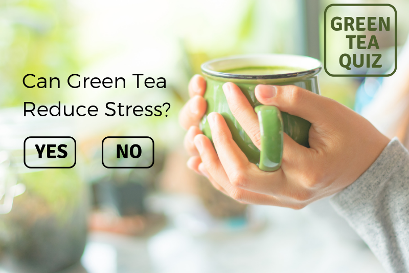 Can Green Tea Reduce Stress?