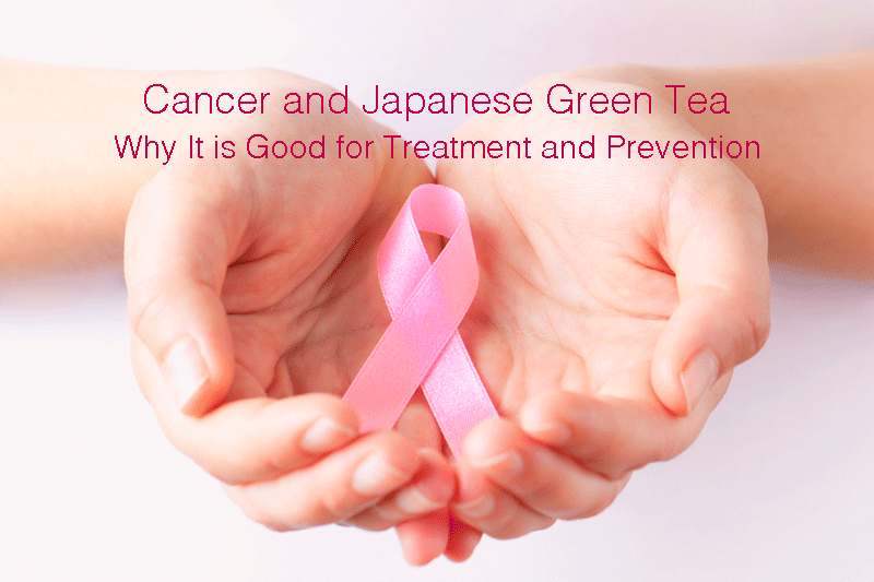 Cancer and Japanese Green Tea - Why It is Good for Treatment and Prevention