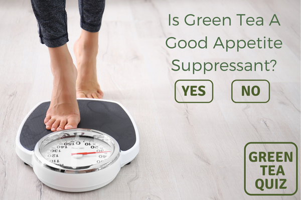 Is Green Tea A Good Appetite Suppressant?