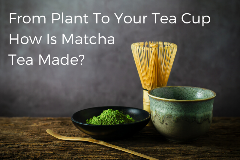 Sencha, Tencha, Matcha Tea Processing Machinery