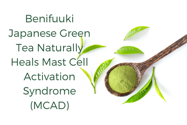 Benifuuki Japanese Green Tea Naturally Heals Mast Cell Activation Syndrome (MCAD)