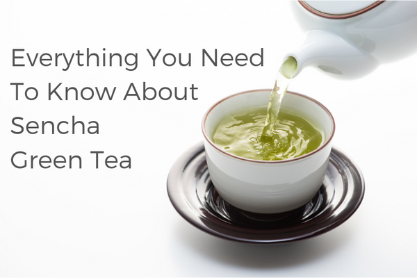Everything You Need To Know About Sencha Green Tea