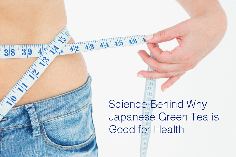 Science Behind Why Japanese Green Tea is Good for Health