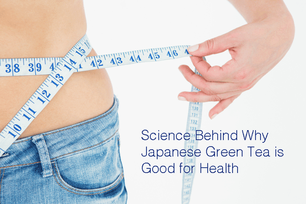 Science Behind Why Japanese Green Tea is Good for Health