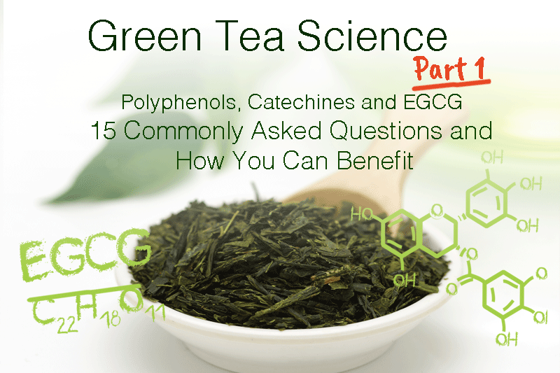 Green Tea Science Part 1: Polyphenols, Catechins, and EGCG - 15 Commonly Asked Questions and How You Can Benefit