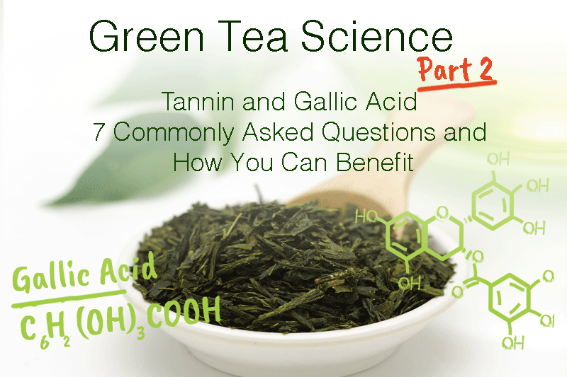 Green Tea Science Part 2: Tannin, and Gallic Acid- 7 Commonly Asked Questions and How You Can Benefit