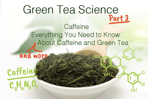Green Tea Science Part 3: Caffeine - Everything You Need to Know (and more) about Caffeine and Green Tea
