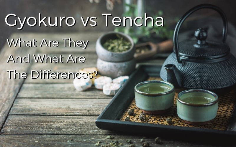 Gyokuro vs Tencha – What are they and what are the differences?
