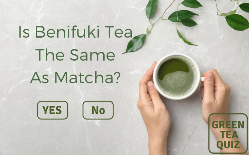 Is Benifuuki Tea The Same As Matcha?