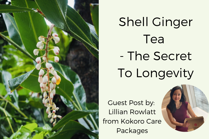 Shell Ginger Tea - The Secret To Longevity