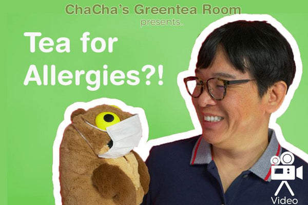 Tea for Allergies?! What is Benifuki Tea? - ChaCha's GreenTea Room Video