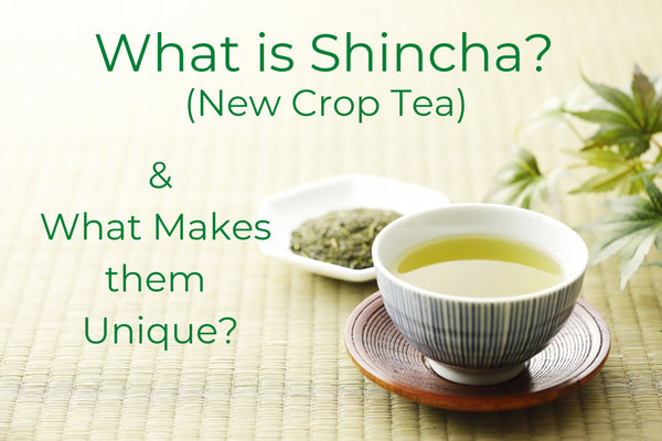 What is Shincha - New Crop Tea and What Makes them Unique?