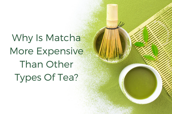 Why Is Matcha More Expensive Than Other Types Of Tea?
