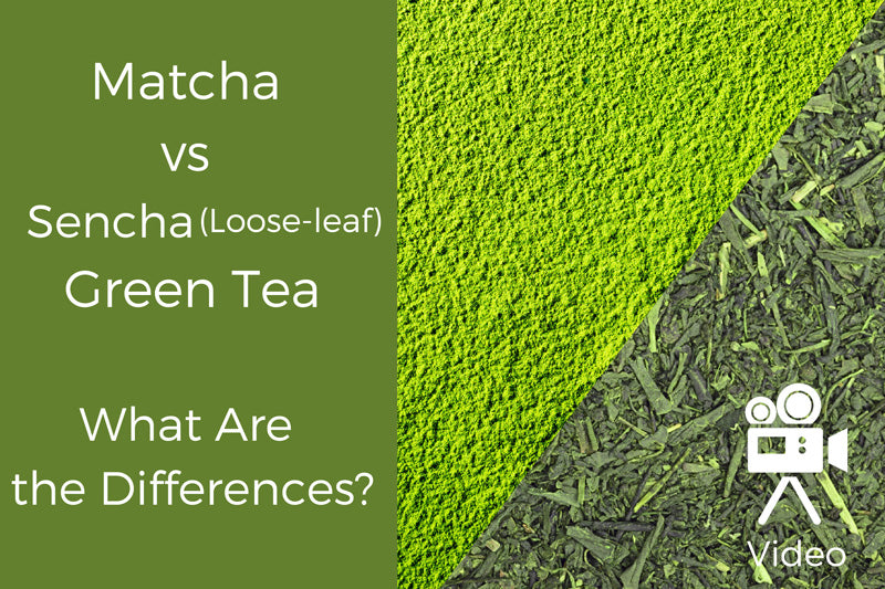 TYPES OF TEA: MATCHA VS SENCHA GREEN TEA: WHAT ARE THE DIFFERENCES?