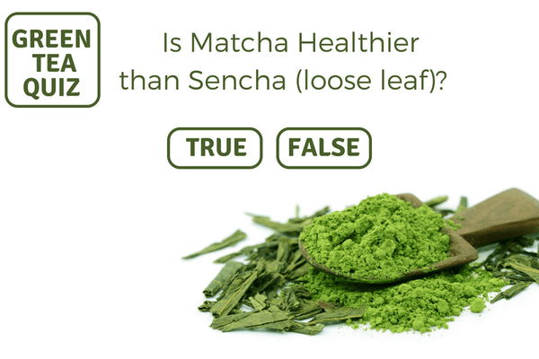 Is Matcha Healthier than Sencha (Loose Leaf)?