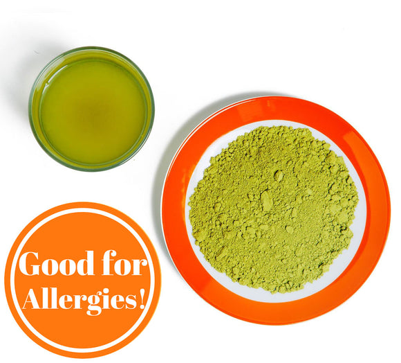 Benifuuki - Allergy Relief Japanese Green Tea Powder