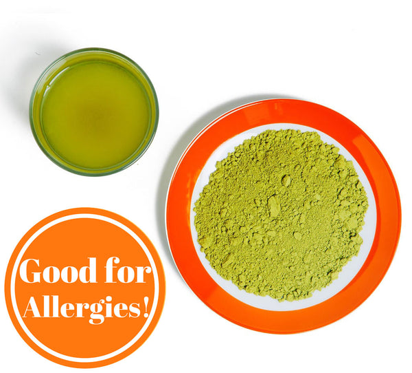 Benifuuki - Allergy Relief Japanese Green Tea Powder