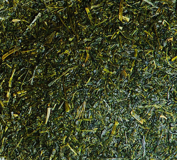 Japanese Green Tea Sencha Tea Bag