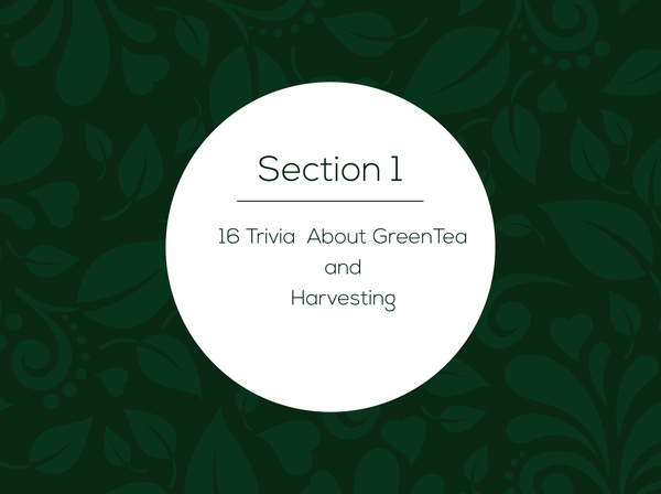 Book - Green Tea Mania : 250+ Green Tea Facts, Cooking and Brewing Tips & Trivia You (Probably) Didn't Know